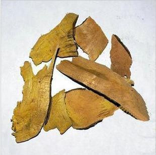 纯正野生中药材三颗针 三棵针 铜针刺 小黄连 三爪黄连 干品