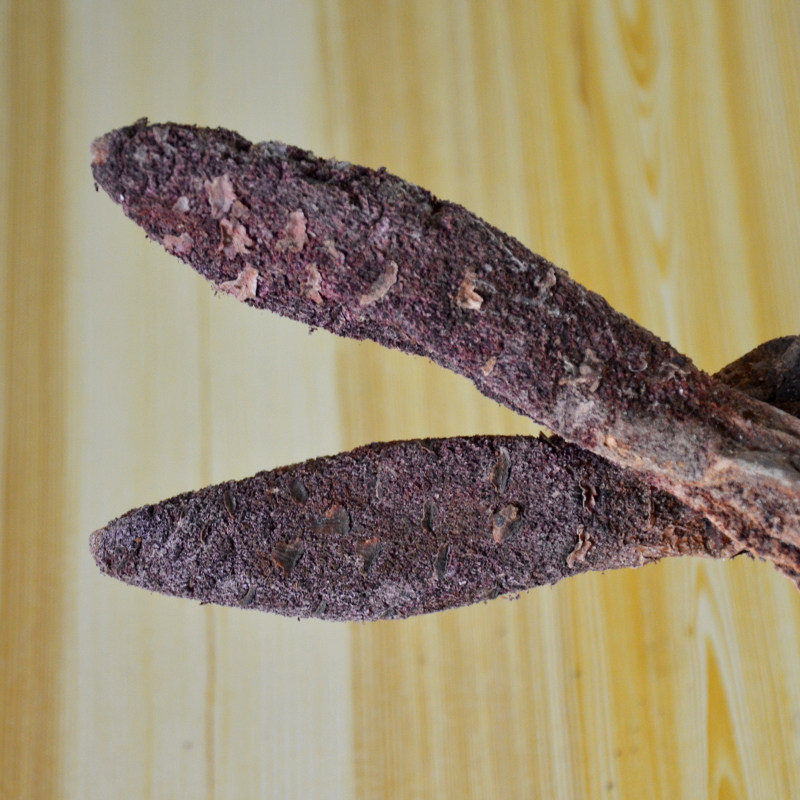 酒泉瓜州锁阳野生金锁阳非内蒙古阿拉善野生肉苁蓉250g包邮