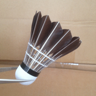 12只装鹅毛全圆特级黑色刀翎=不一样的体验