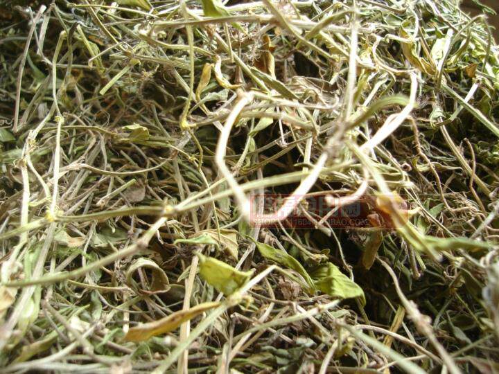2斤包邮 福建野生过路蜈蚣 金毛耳草/黄毛耳草 落地蜈蚣 晒干500g