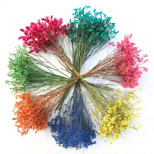 水晶 云南干花七彩水晶草 基地直销情人草干花 彩色水晶超值款