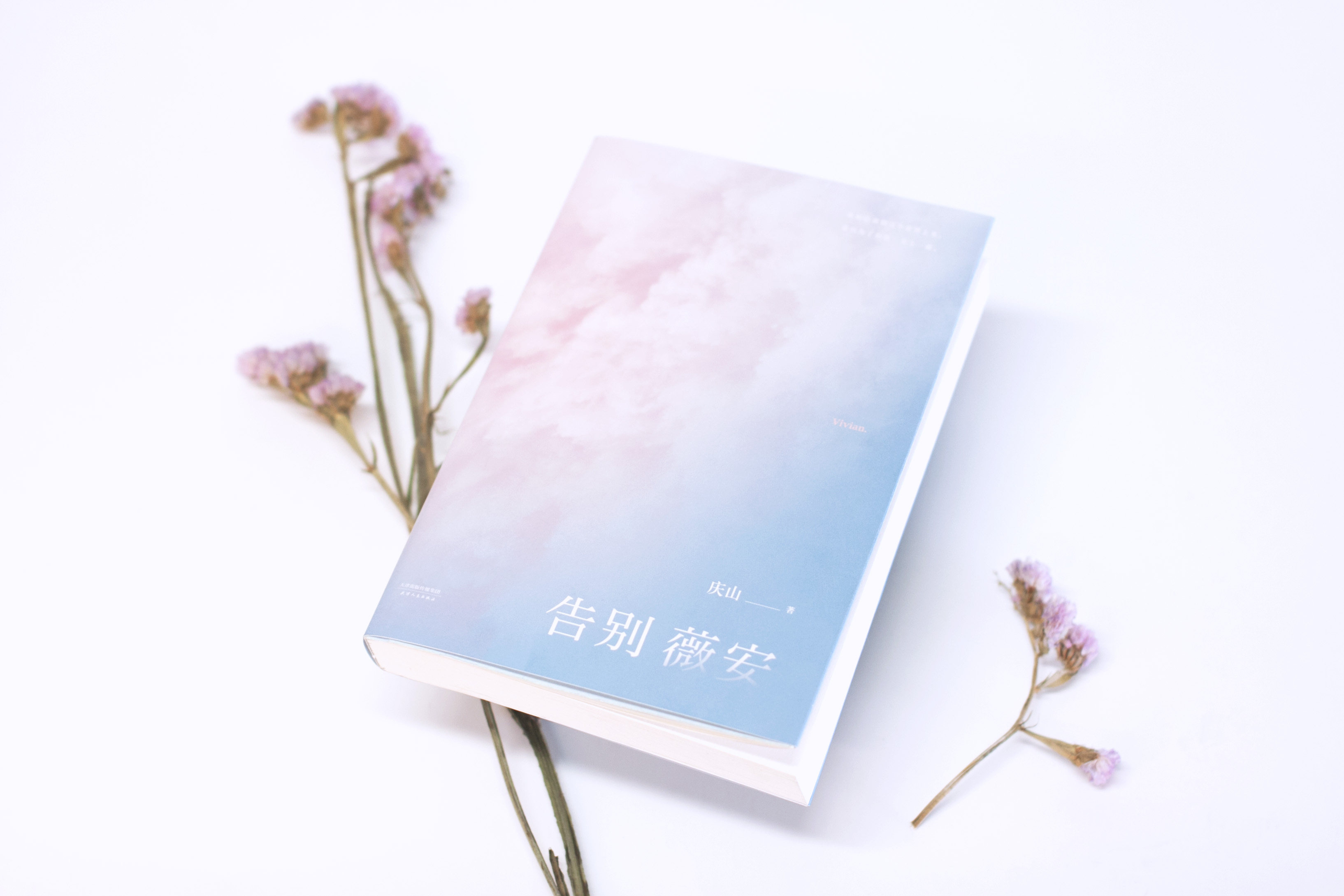 新书现货电影版火热 告别薇安 安妮宝贝 庆山 电影 七月与安生 原著