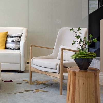 北欧简约单人沙发椅创意设计师椅小户型客厅沙发椅书房休闲扶手椅