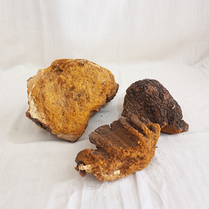 小镇山品 东北野生桦树胆桦树泪白桦茸250g 药用真菌 满3件包邮_爱酷