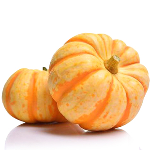 [黄贝贝迷你南瓜种子]粉糯甜可口高端迷你南瓜种子黄皮小南瓜籽