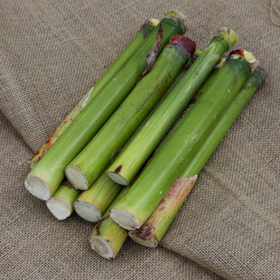 农家 新鲜甜芦粟 农家高粱杆 上海崇明生态特产 甜杆甜芦稷 糖高粱 5