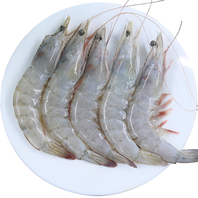 青岛海捕大青虾新鲜海虾大对虾鲜活速冻海鲜水产冻虾盒装3.6斤_双氙车