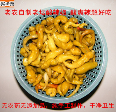 湖南衡陽土特產 老農醃製酸辣泡辣椒500g 罈子泡菜炒葷菜酸爽下飯