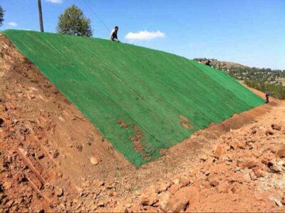 厂家直销 三维土工网网垫 固土三维植被网 绿化护坡 长期供应