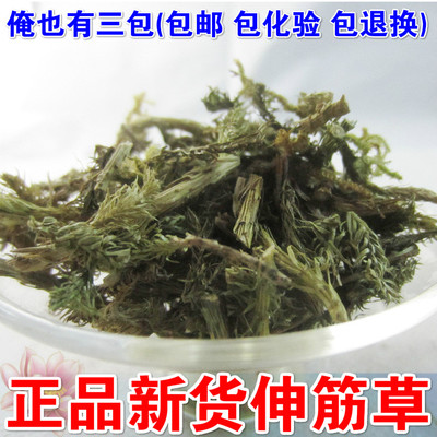 伸筋草 舒筋草 石松 狮子草 野生申筋草中药材 正品500g包邮