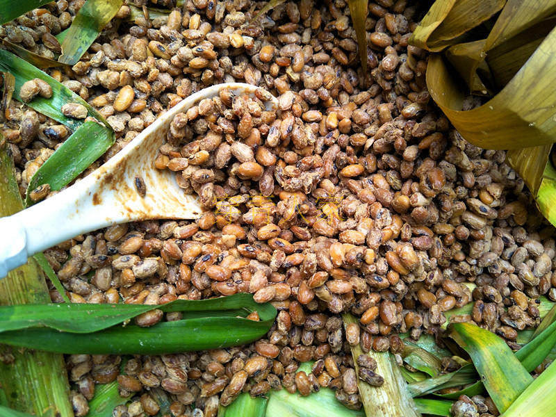 贵州毕节特产新鲜豆豉粑豆豉颗 纳雍拔丝湿豆豉颗 农家豆豉叶自制