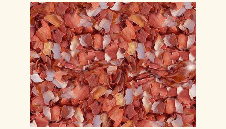 花生衣生剥红皮大片新货红花生皮血小板红花生衣500g