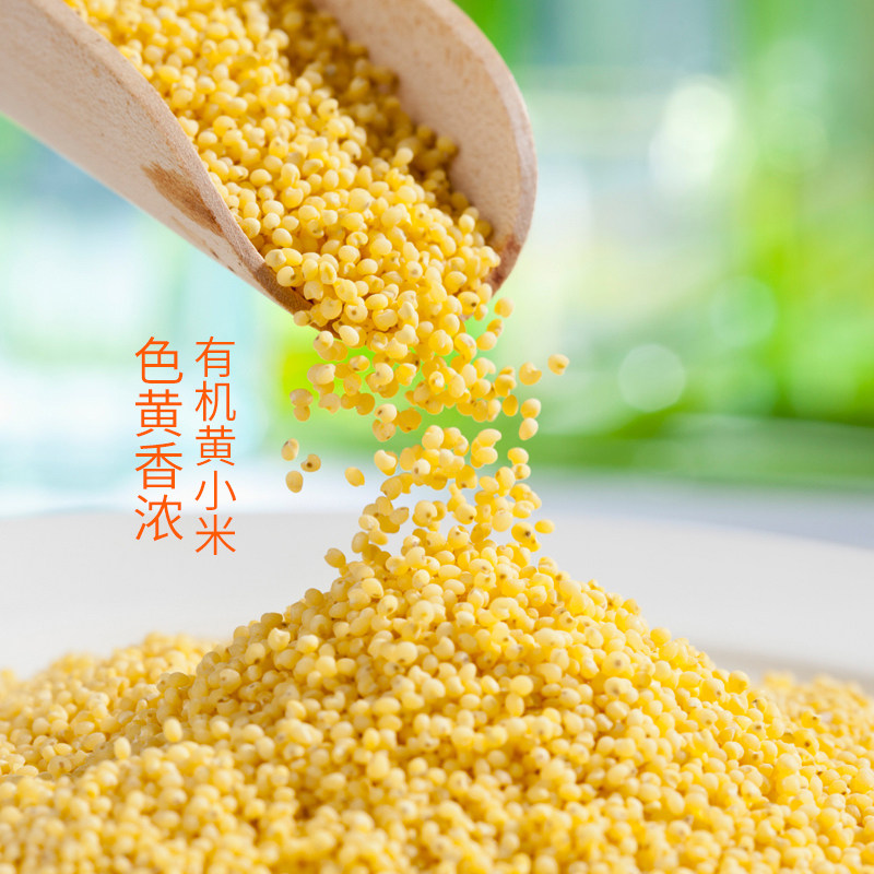 盖亚农场 有机小米450g新米东北农家特产粟米小黄米杂粮粥包邮