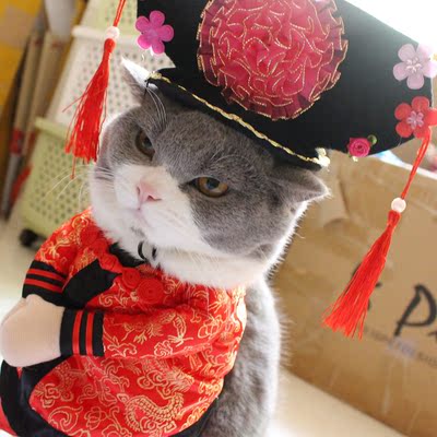 格格吉祥猫咪变身装宠物宫廷服美短暹罗猫衣服kojima站立装搞怪服
