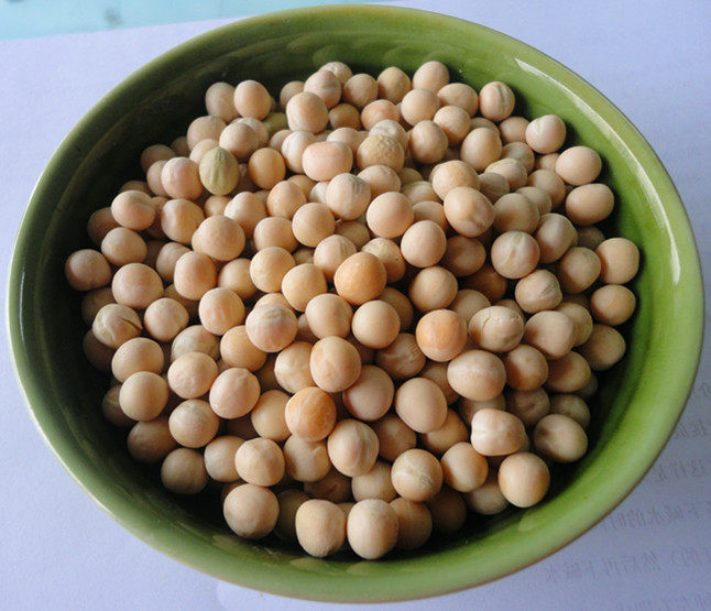 5斤包邮 豌豆农家生豌豆五谷杂粮粗粮生豌豆干豌豆 可生豌豆苗