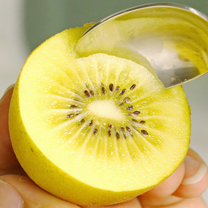 goldkiwifruit猕猴桃图片