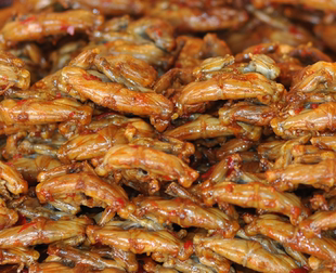 拉丝非常好吃枫泾特产熏拉丝拉司拉斯不辣版江浙沪皖15个包邮