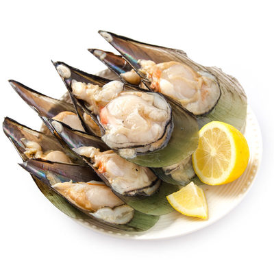 【天猫超市】原膳彩虹贝500g扇贝肉 半壳带子海鲜水产_不打折现价36.