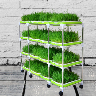架子 水培芽菜套餐 双层芽苗菜育苗盘架 小麦草种植盘架子 不锈钢架子