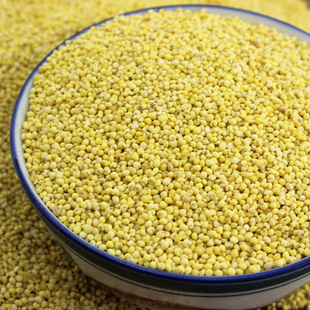 高粱米 大黄米糯小米农家自产黏米包粽子软糯米500g批发代发农家高粱