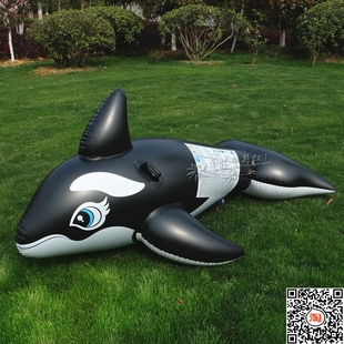 包邮特价美国正品intex58561大黑鲸座骑坐骑成人儿童充气游泳玩具