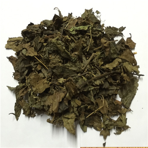 腫節風 九節茶 九節花 九節風 竹節茶 接骨蓮 觀音茶 接骨木500克