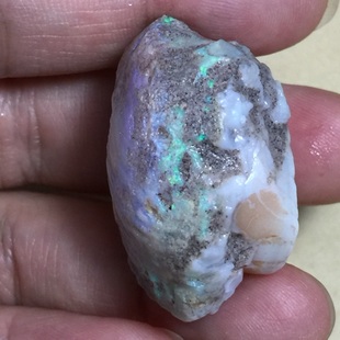 化石78ct澳大利亚贝壳化石欧泊 欧泊化腕足类动物化石标本 澳宝原石