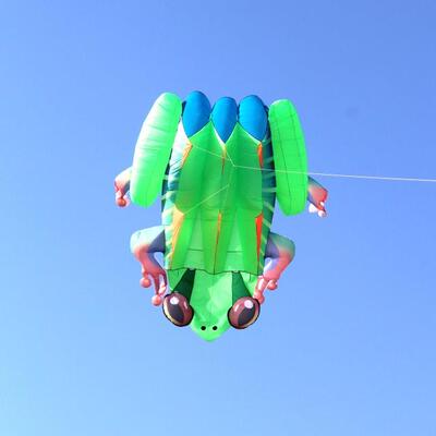 新款软体青蛙风筝 潍坊软体绿蛙风筝 树蛙蛤蟆线具老店
