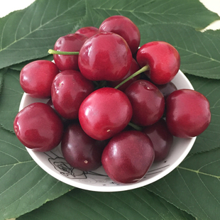 烟台大樱桃车厘子新鲜水果无农药鲜摘孕妇水果甄选美早5斤