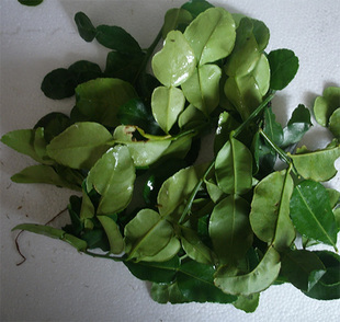 柠檬 泰国带枝柠檬叶500g*进口柠叶干檬檬叶 正宗新鲜空运