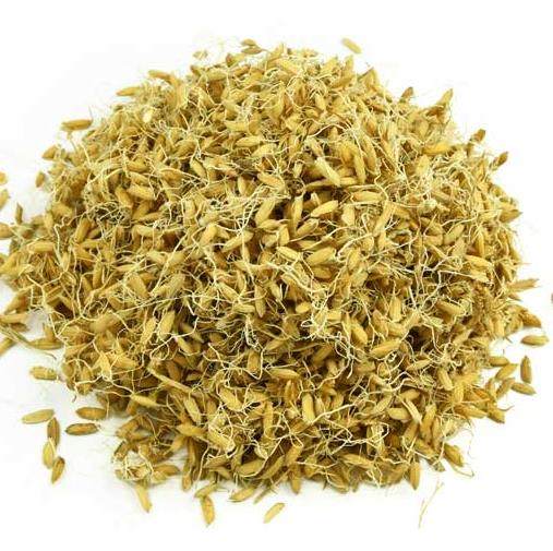 生谷芽 6斤包邮 生稻芽 谷芽 可打粉 中药材供应 500克5元