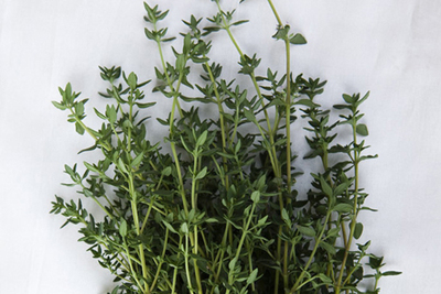 新鲜蔬菜 百里香 安神麝香草 西餐香料 【100g】江浙沪满4件包邮