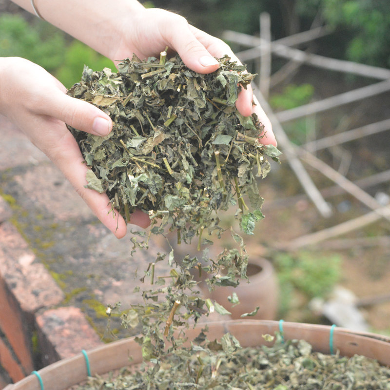 2016年新货野生鬼针草鬼钗草 三叶鬼针草 一包针草茶 包邮