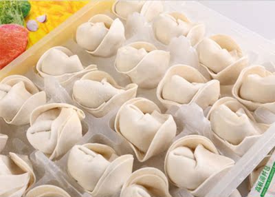 阿杜上海大馄饨荠菜猪肉666g/袋48只装速冻面点云吞抄手满99包邮