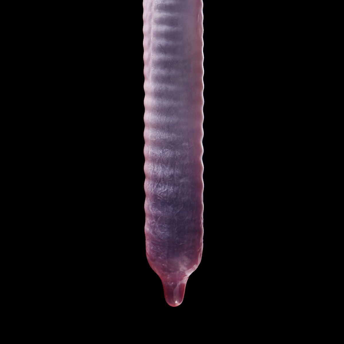 杜蕾斯正品紧型装12只紧绷避孕套 小号安全套套 情趣成人性用品cr