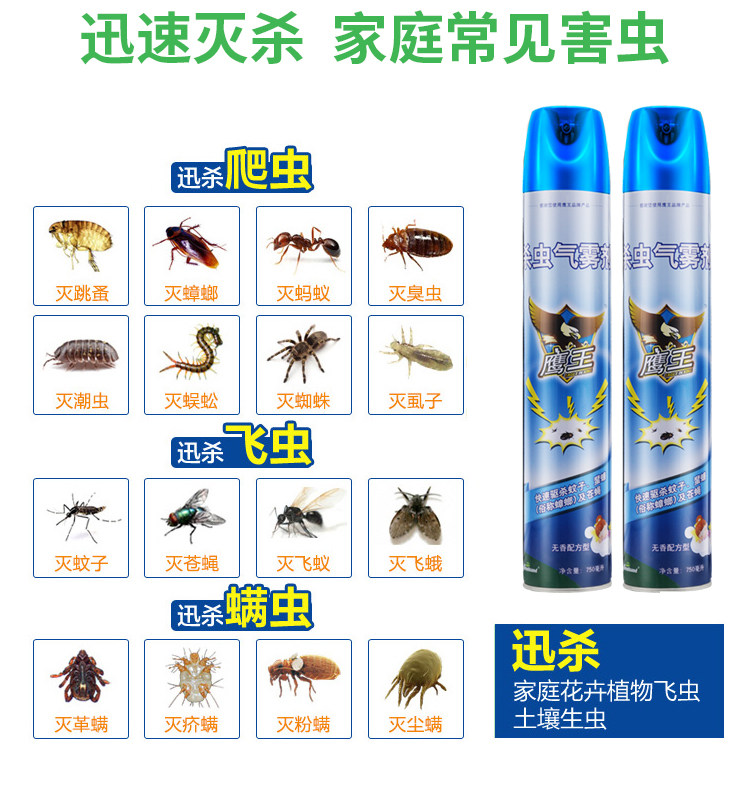 鹰王无香型杀虫剂喷雾气雾剂750ml驱虫杀蚊苍蝇灭蟑螂害虫家用