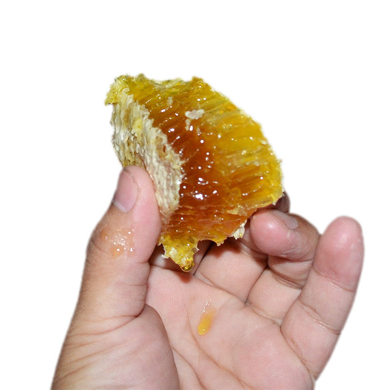 蜂巢蜜土蜂蜜纯天然野生峰巢蜜农家自产蜂窝嚼着吃老蜂巢500g盒装