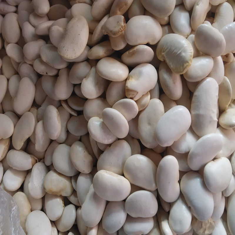 浦城特产白豆子干 白玉豆 大豆炖肉精品满99江浙沪皖闽粤包邮年货