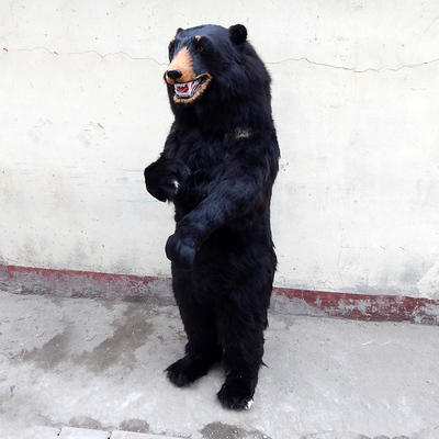 仿真黑熊真皮毛動物仿真人熊站立熊大型仿真動物模型擺件影視道具