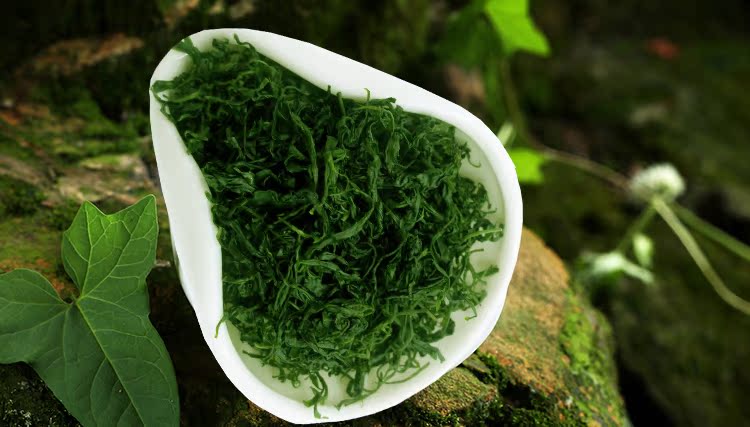 2016新茶 青山綠水特級野生小葉苦丁茶峨眉山 花草茶包郵