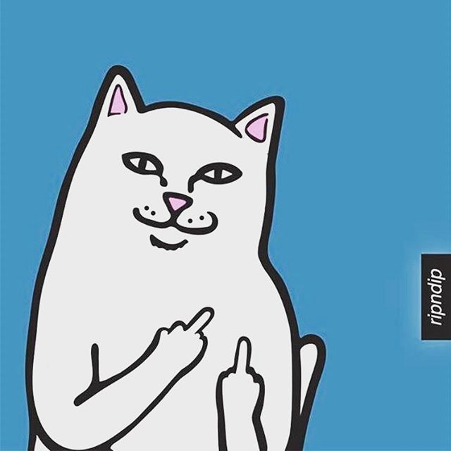 ripndip lord nermal滑板中指贱猫耶稣口袋合集短袖男女情侣t恤潮