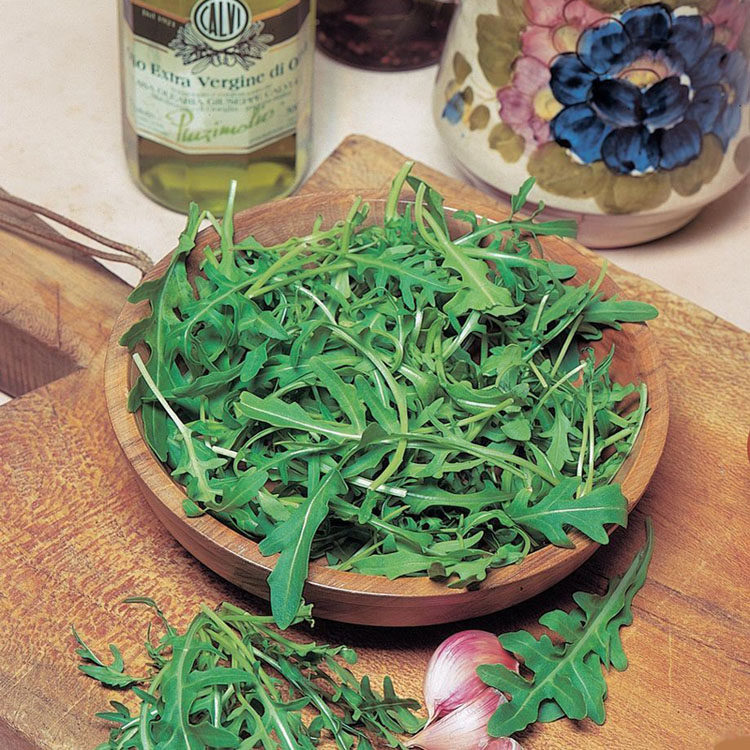 新鲜芝麻菜 火箭菜 新鲜蔬菜 西餐用菜沙拉必备 无公害健康菜250g