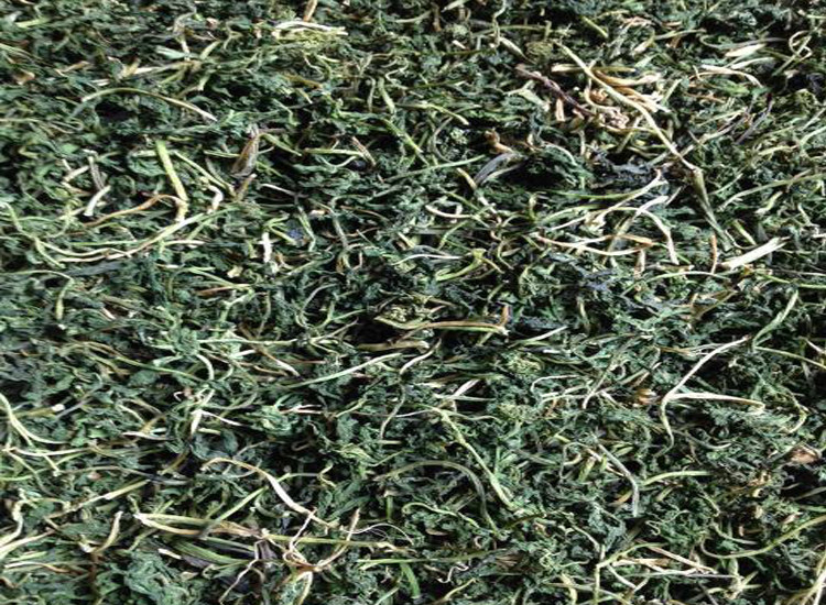 陕西特产干菜安康特产梅菜岚皋特产干半边菜绿色富硒野生半边菜干