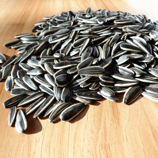 子 内蒙古生葵花籽2017新货五原县散装葵花子孕妇零食5斤装 生瓜子