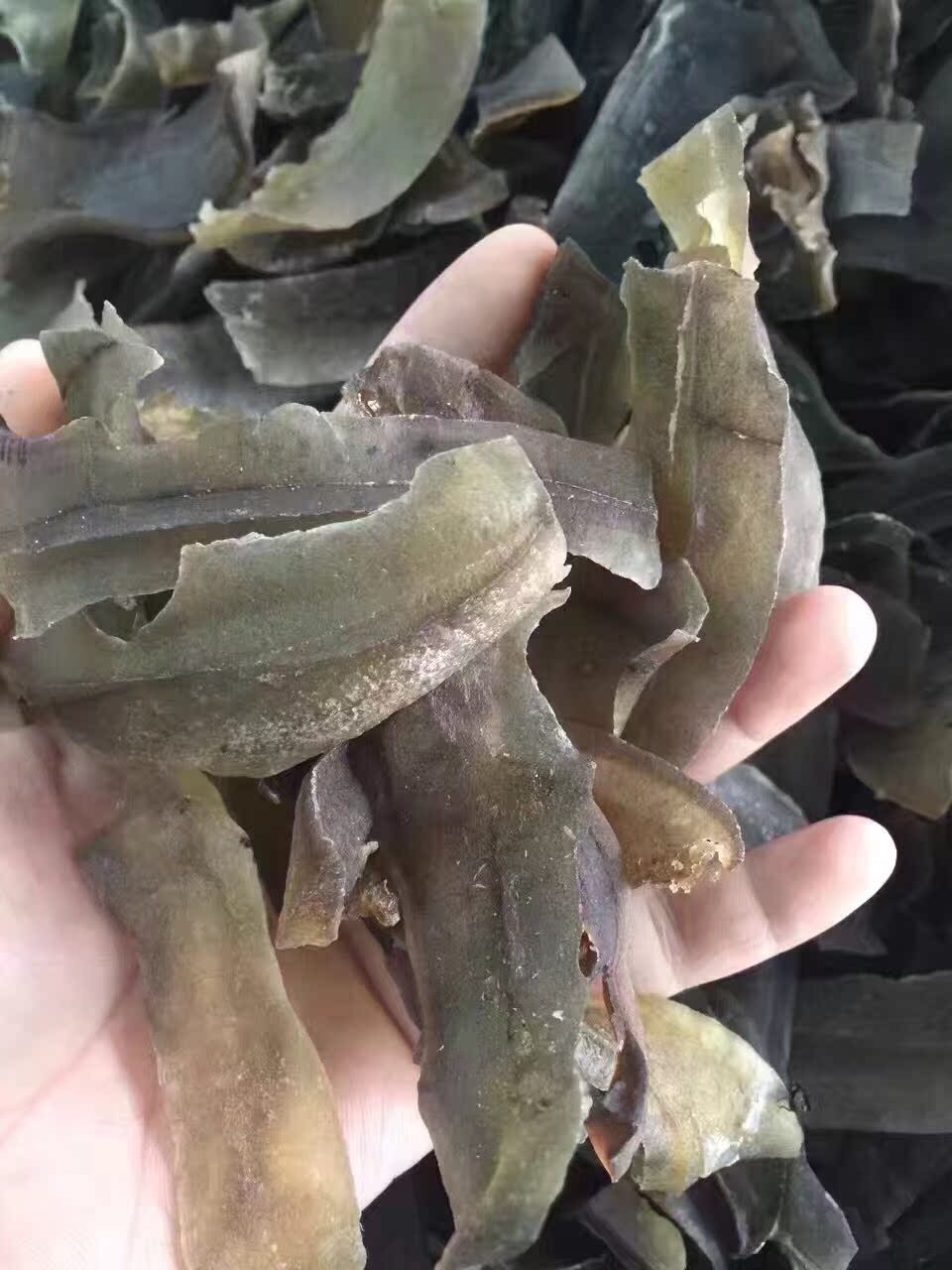 龟胶龟板胶龟裙 龟甲龟檐龟裙边龟边 100克