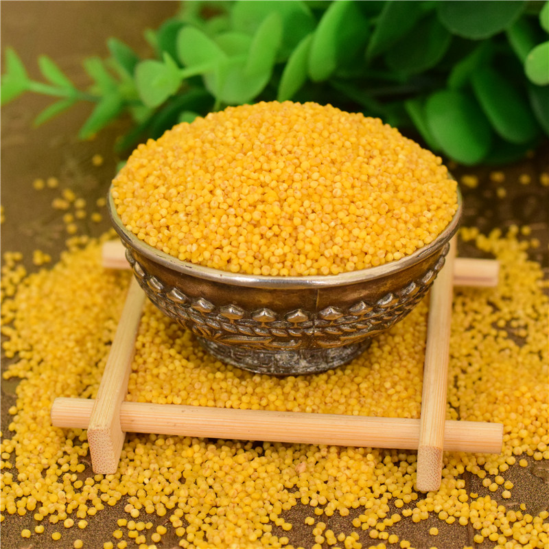 2016新农家黄小米小黄米山西月子沁州黄山西小米粥2500g特价包邮