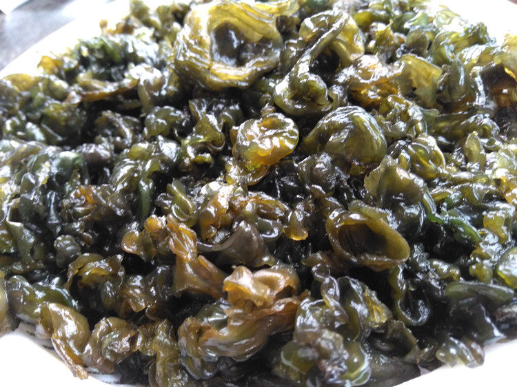 湖南特产野生雷公菌新鲜湿地皮菜地软儿地木耳地衣地踏菇野菜500g