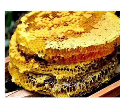 甘肃陇南徽县青泥土蜂蜜秦岭野生百花蜜正宗圆木桩老巢蜜崖蜜包邮