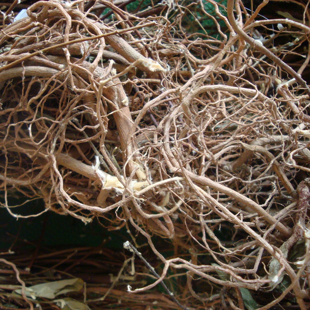 广东煲汤料野生白花地棉根白花地绵茎中草药