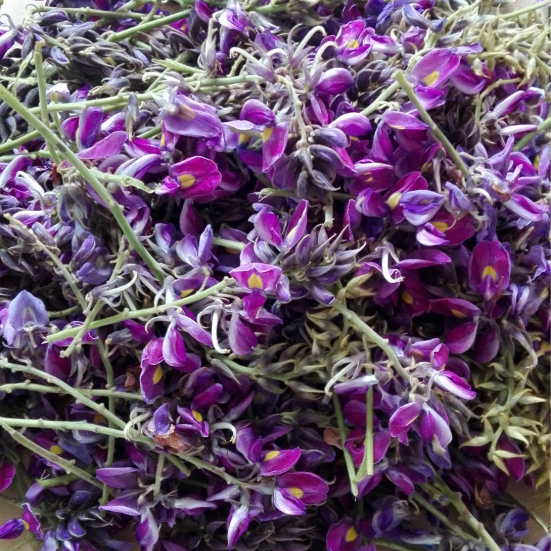 新鲜野生葛花解酒茶纯葛花茶葛根花葛藤花醒酒茶中药材养生花草茶